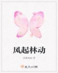 风起changlin