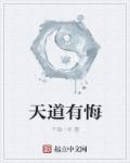 天道有轮回上一句是什么