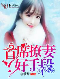 首席诱妻成瘾