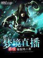 梦境直播系统 第28章