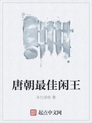 唐朝最佳闲王百科