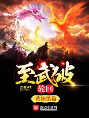 轮回破好用吗