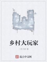 乡村大世界全集