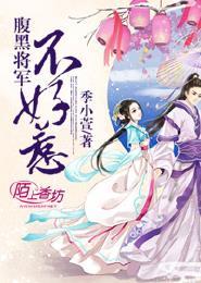 腹黑将军的
