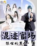 官场混迹史