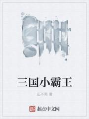 小霸王三国游戏