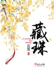 藏珠纳玉讲的什么