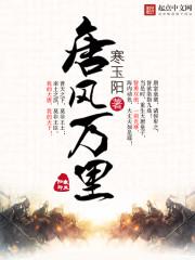 回到唐朝当