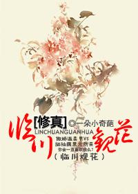 交易猫买王者号安全吗