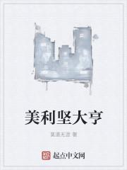 美利坚领袖
