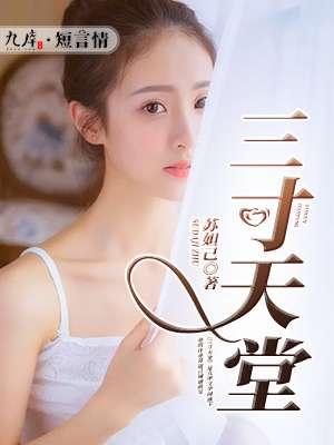 三寸天堂二胡版