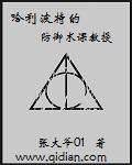 哈利波特第七部黑魔法防御课老师