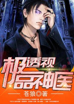 极品神医之透视神功